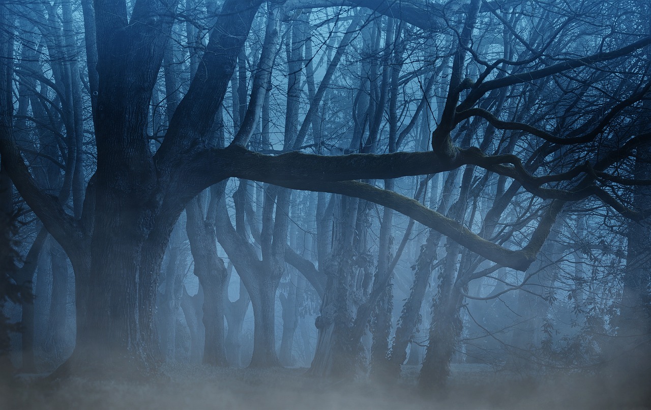 Mystical dark forest with fog drifting between bare trees at dusk